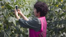 tech-innovation-future-sustainability