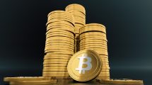 Bitcoin could be Official Currency by 2030