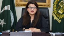 Pakistan to complete 600MHz spectrum auction early next year: IT Minister