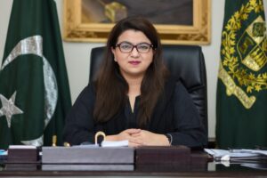 Pakistan to complete 600MHz spectrum auction early next year: IT Minister