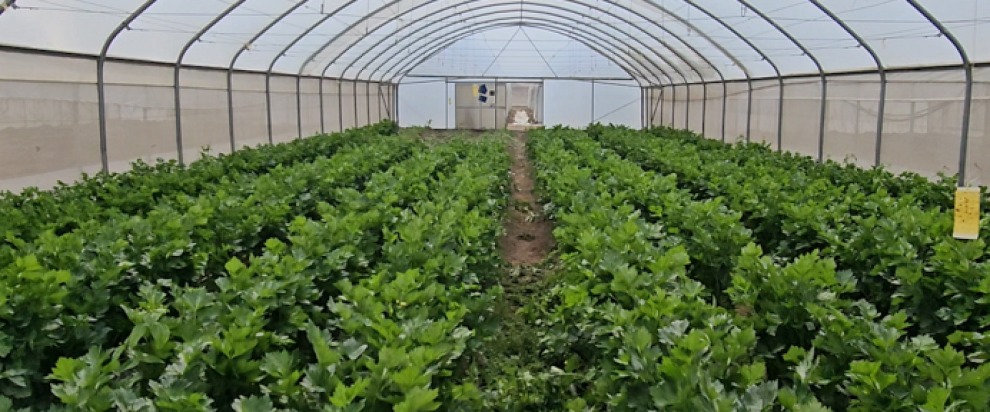 Satellite-Enabled IoT Powers Data-Driven Agribusinesses