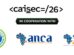 Africa and the Arab world join forces at CAISEC ’26