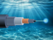 report to strengthen submarine cable resilience