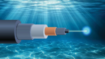 report to strengthen submarine cable resilience